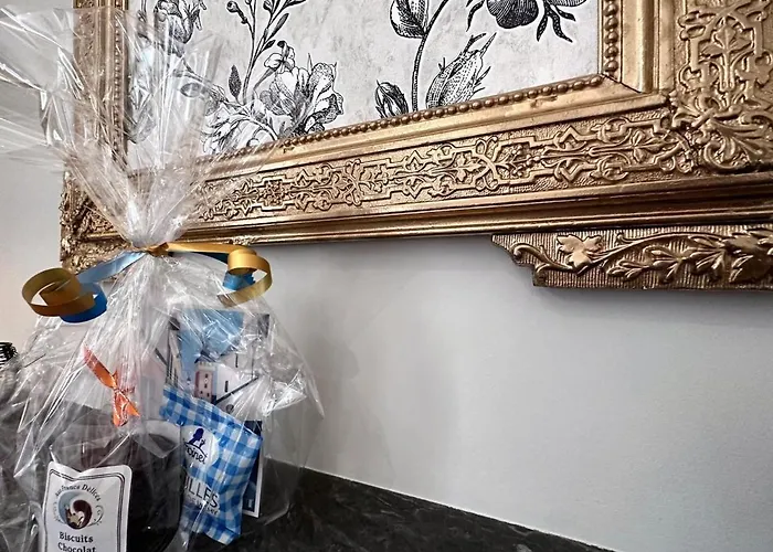 De Charme 30m², Centre Historique De Moulins, 2 Lits Jumelables, Equipe, Proche Commodites - Fr-1-489-472 Apartment Moulins (Allier)